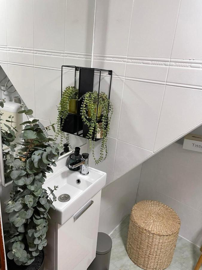 Studio Milena Rovinj Exteriör bild